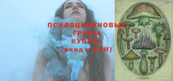 гидропоника Абаза