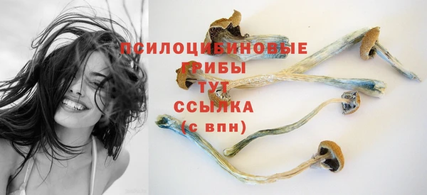 ПСИЛОЦИБИНОВЫЕ ГРИБЫ Абинск