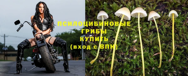 гидра Абдулино