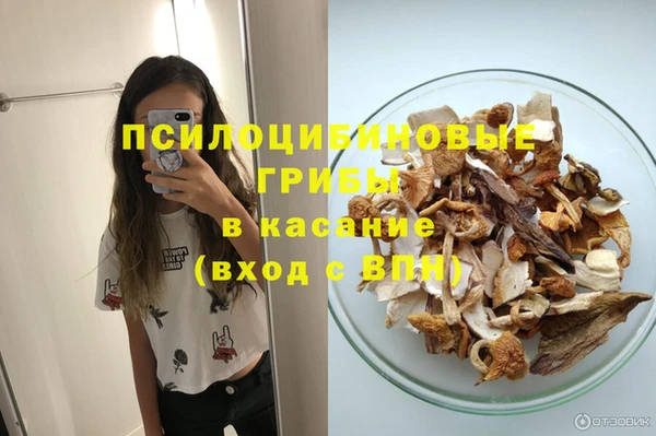 гидропоника Абаза
