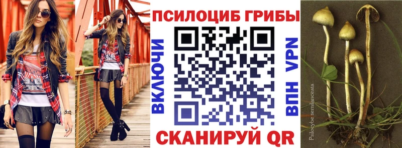 ОМГ ОМГ онион Ливны Галлюциногенные грибы мухоморы